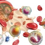 تغذیه بیماران مبتلا به سرطان خون