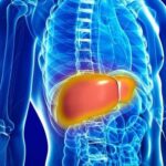 علائم بالا بودن آنزیم های کبدی