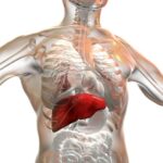 پایین آوردن آنزیم‌های کبدی