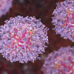 سرطان خون سلول مویی