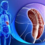 ایا بزرگ شدن طحال خطرناک است