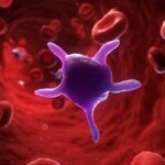 بالا بردن پلاکت خون در شیمی درمانی