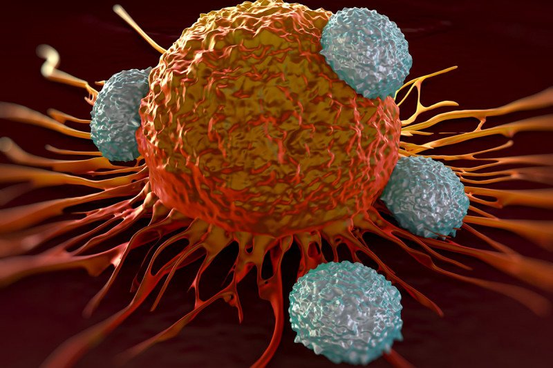 فرآیند CAR T-cell چیست